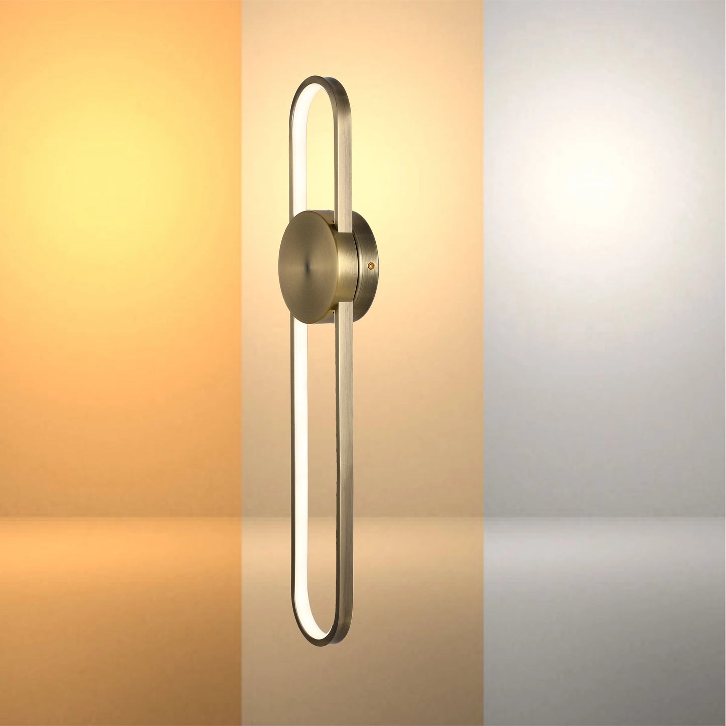 Elliptical Disc LED Wall Light product photograph showing design detail and finish