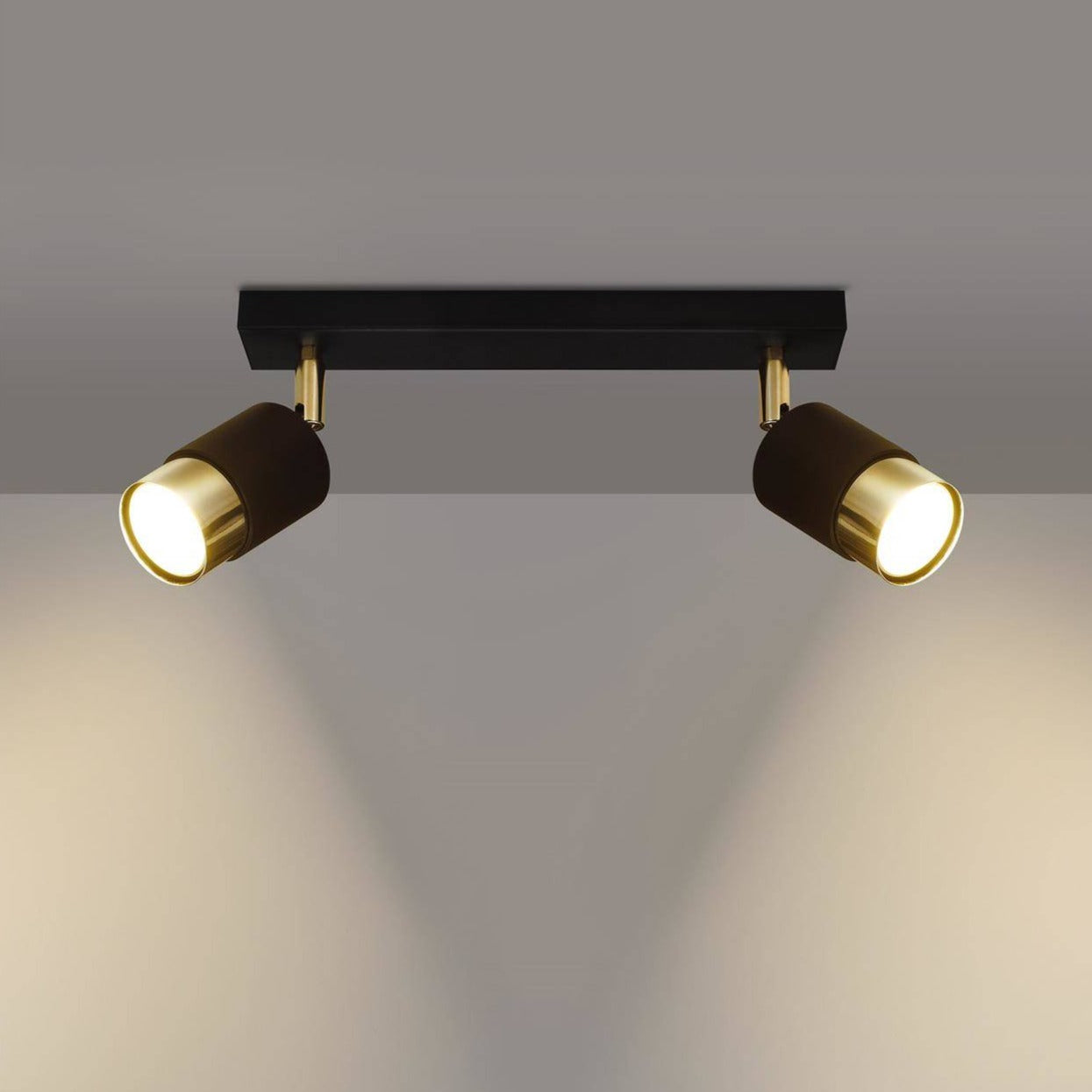 Two-light Trip Track Light in gold and black, providing focused lighting, suitable for ceiling or wall installation in various rooms