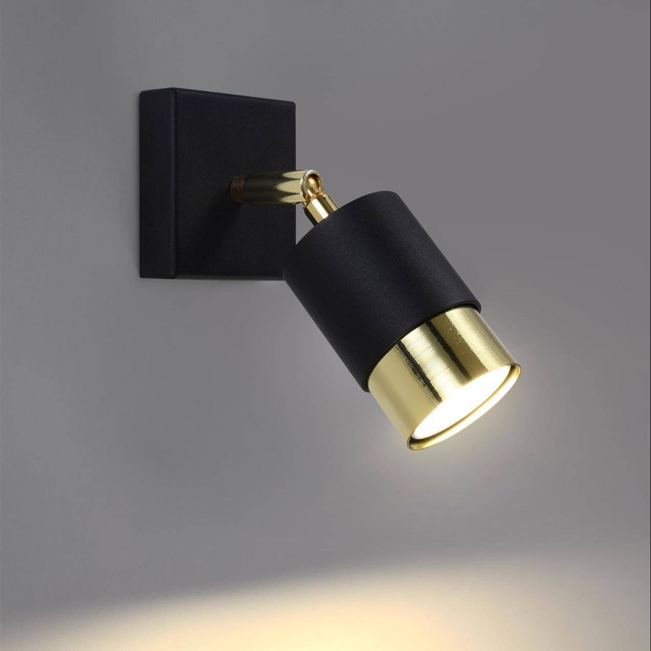 Single black and gold Trip Track Light fixture, wall-mounted, providing focused directional lighting